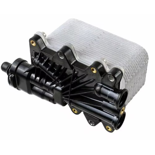 Radiador de aceite de transmisión BMW E46 E60 E61 E63 E64 E65 E66 E83 X3 17217803830