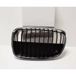 BMW Rejilla Izquierda F20 51137324389