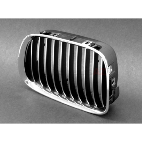 BMW Rejilla Cromada Izquierda E39 51138184531 51138184531k