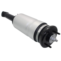 Amortiguador Land Rover Delantero Articulado Derecho-Izquierdo Sport Lr041108 Rnb501620