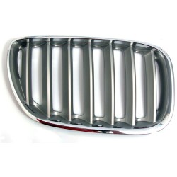 BMW Rejilla Titan Derecha E53 X5 51137124816