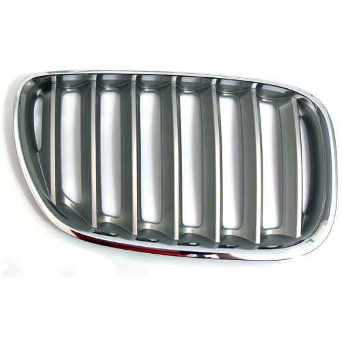 BMW Rejilla Titan Derecha E53 X5 51137124816