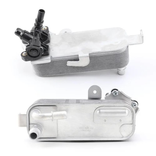 Intercambiador de calor BMW 17217600553
