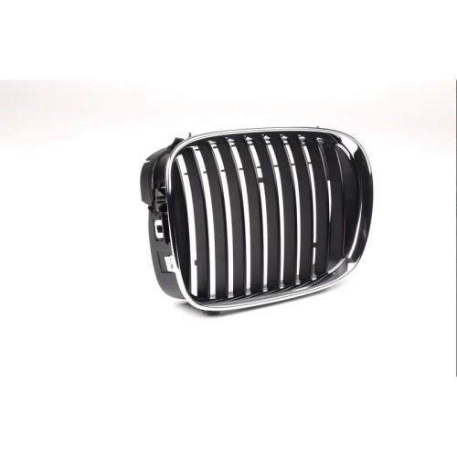 Rejilla Bmw Izquierda 51138159315