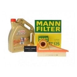 Bmw F10 Case 520i Mantenimiento Periódico Juego Filtros Aceite Castrol SIN POLEN