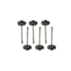 BMW E30 E34 M20 Kit Valvulas Admision y Escape 11341267722 SUNES BMW E30 E34 M20 Kit Valvulas Admision y Escape 11341267722 SUNES