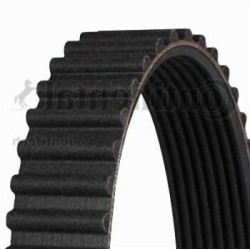 BMW E30 E34 M21 Correa Distribución 11311279125 CONTITECH