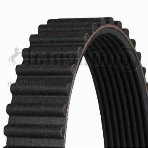 BMW E30 E34 M21 Correa Distribución 11311279125 CONTITECH