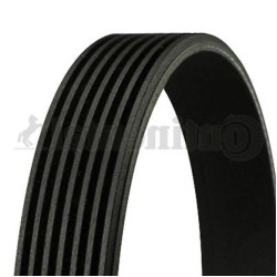 BMW E32 E34 M60 Correa Del Ventilador 7PK1605 11287636363 CONTITECH