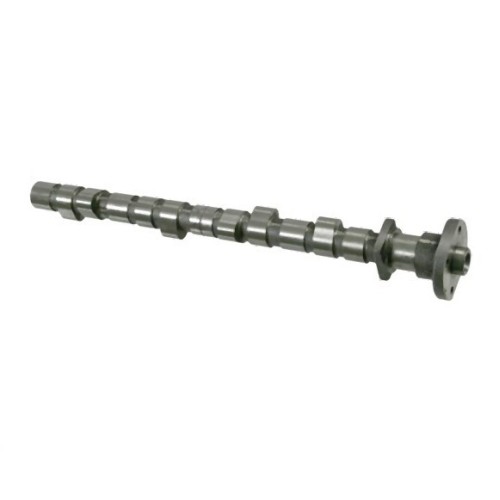 BMW E34 E36 E46 Z3 M43 Árbol de levas 11311739176