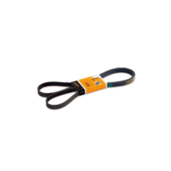 BMW E36 E46 Z3 M43 M44 Después de 09 1995 Correa de ventilador 6PK1733 11281437369 CONTITECH