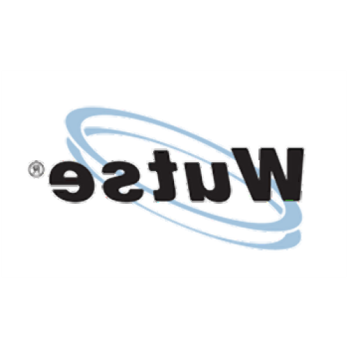 BMW E38 E39 M5 E46 E53 E83 Pastillas de freno traseras 34216761248 WUTSE
