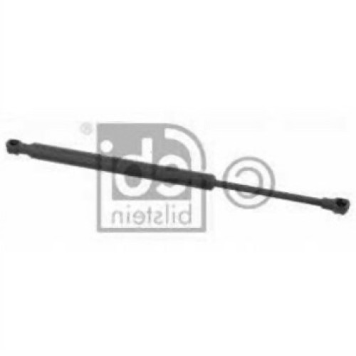 Amortiguador de maletero BMW E46 Sedan Coupe 51248254281