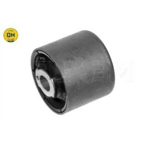 BMW E46 E83 E85 Soporte Del Diferencial 33176751808 MEYLE