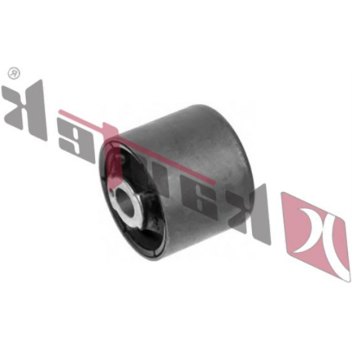 BMW E46 E83 E85 Soporte Del Diferencial 33176751808 KAUTEK