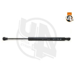Amortiguador de maletero BMW E46 Sedan Coupe 51248254281