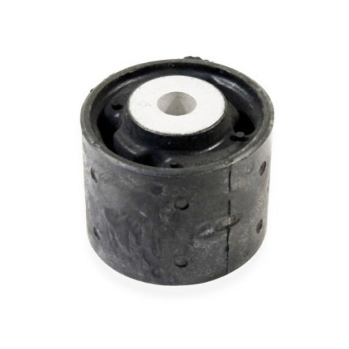 BMW E53 Soporte del diferencial trasero 33176770456