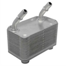 Radiador de aceite BMW E53 17207500754 RADISEN
