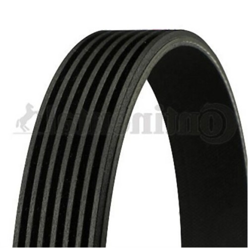 BMW E65 M67 Correa Del Ventilador 11287796396 CONTITECH