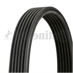 BMW E81 E82 E87 E88 E90 E91 E92 E93 N47 Correa Del Ventilador 6DPK1697 11288574957 CONTITECH