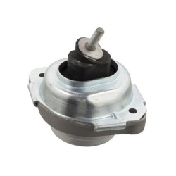 BMW E83 M47N2 N47 Elección de soporte de motor derecha 22113421300