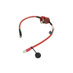BMW F30 F31 F32 F33 F34 F36 F80 F82 F83 Batería Más Cable 61126834543