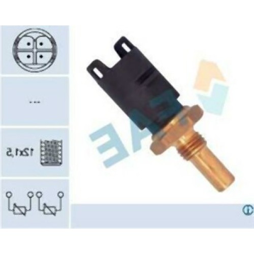 BMW M43 M44 M52 M62 M73 M73N Sensor de temperatura 13621703993 FAE