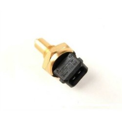 BMW M43 M47 M47N M47N2 M52 M54 M57 M57N M57N2 N20 N26 N40 N42 N43 N45 N45N N46 N46N N52 N52N N53 N54 N55 Sensor de sobretemperatura 13621433076 FAE
