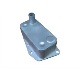 Radiador de aceite BMW M47N M47N2 11427787698 RADISEN Radiador de aceite BMW M47N M47N2 11427787698 RADISEN
