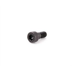 BMW M52 M54 Espárrago Valvetronic 11361748745