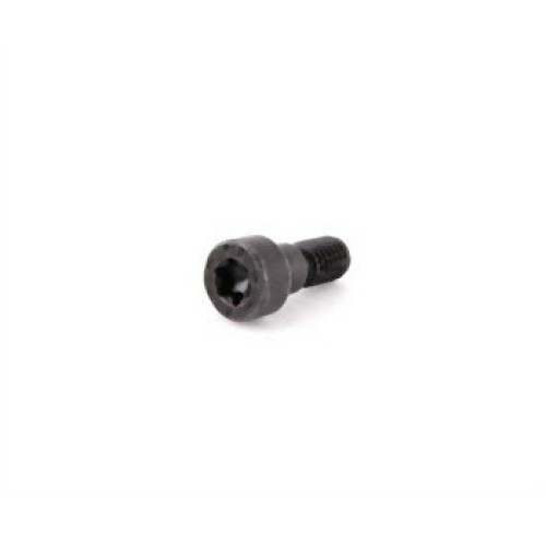 BMW M52 M54 Espárrago Valvetronic 11361748745