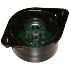 BMW M57 Polea Tensora 11282354130 INA