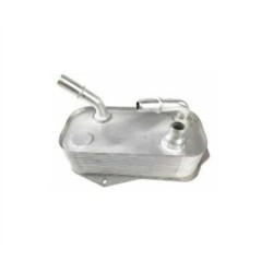 BMW M57N2 N43 N45N N46 N46N N47 Radiador de aceite de transmisión 17217529499 MAGNETI MARELLI BMW M57N2 N43 N45N N46 N46N N47 Radiador de aceite de transmisión 17217529499 MAGNETI MARELLI