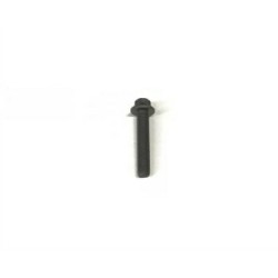 Perno del cojinete del árbol de levas BMW MINI 11317797515