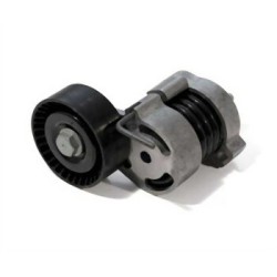 BMW N40 N42 N45 N45N N46 N46N Perno tensor 11287524267 SPIDAN