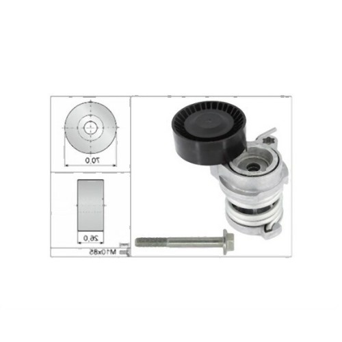 BMW N40 N42 N45 N45N N46 N46N Perno tensor 11287524267 INA