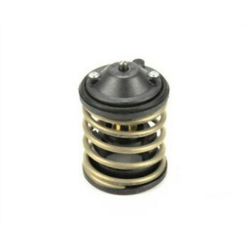 BMW MINI N47 N47N N57 N57N Termostato 11517805192
