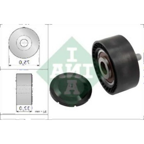 Polea tensora de correa BMW N55 11287615130 INA