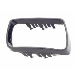 BMW X5 E53 Marco espejo retrovisor exterior izquierdo 51168254903