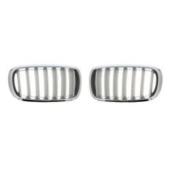 BMW X5 F15 Pure Experience Kit de parrilla Titan 51117303107