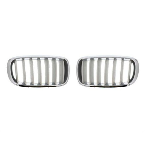 BMW X5 F15 Pure Experience Kit de parrilla Titan 51117303107