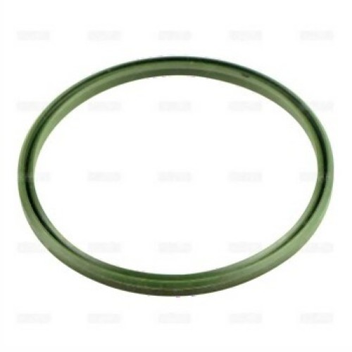 BMW M57N2 N20 N47 N47N N54 N55 N57 Junta de manguera turbo 11617791470