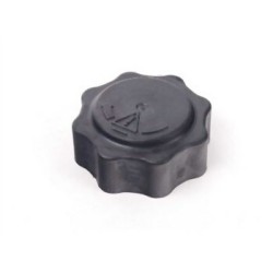 Mini R50 R52 R53 W11 W17 Tapa del tanque de agua 17107515499