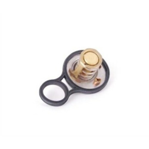 Termostato Mini R50 R52 R53 W10 W11 11537596787 WAHLER