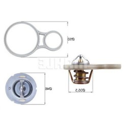 Termostato Mini R50 R52 R53 W10 W11 11537596787 BEHR