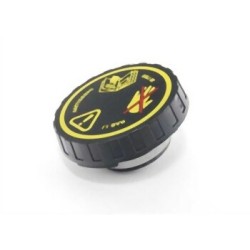 Tapa de radiador Mini R50 R52 11531486703