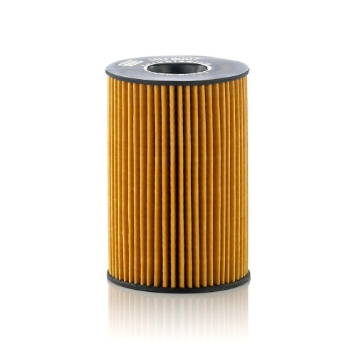 BMW E70 E71 F01 F02 F06 F07 F10 F11 F12 F13 N63 N63N Filtro de aire 1-4 13717577457 MANN