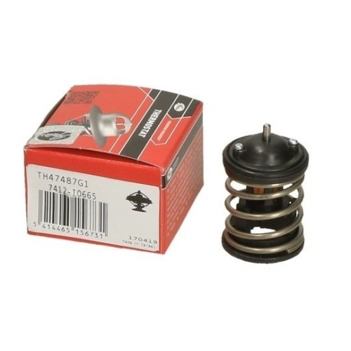 Puertas del termostato del motor Bmw F30 Case 320d N47