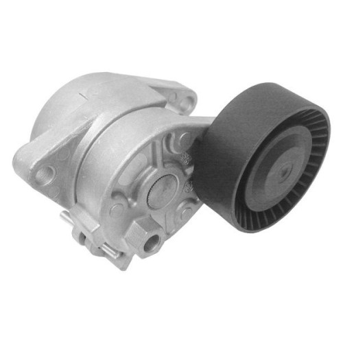 Bmw Serie 5 E39 Chasis 520i V Tensor De Correa Completo