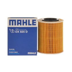 Bmw F20 Case 116i Filtro De Aceite Mahle Bmw F20 Case 116i Filtro De Aceite Mahle